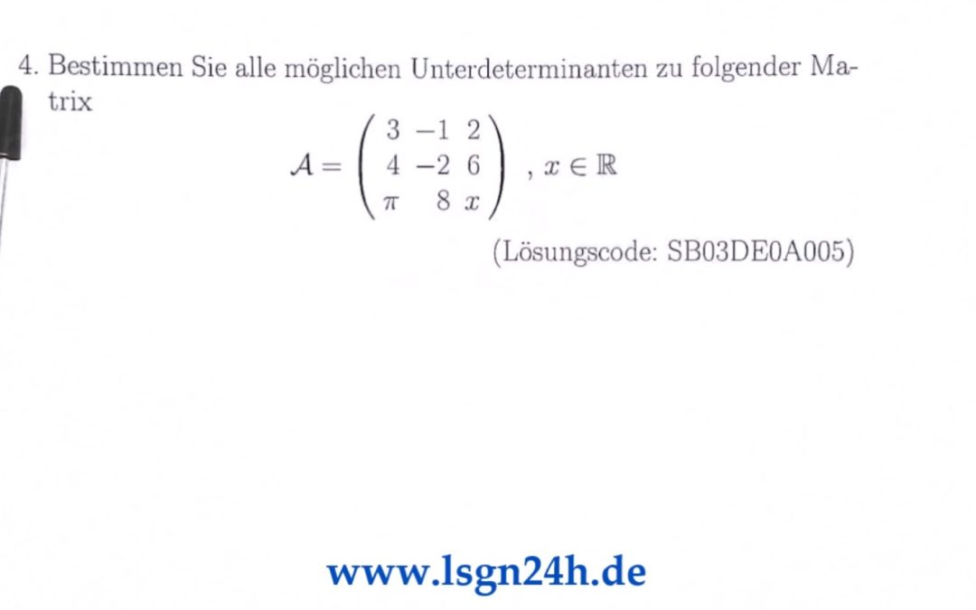 Wie lauten die Unterdeterminanten?